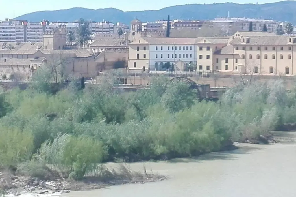 Apartment Bonito Y Coqueto Apartamento Cordoba Spain